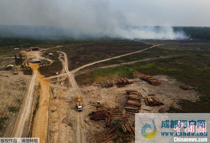 2022年9月17日，巴西亚马孙州一处伐木区附近起火。