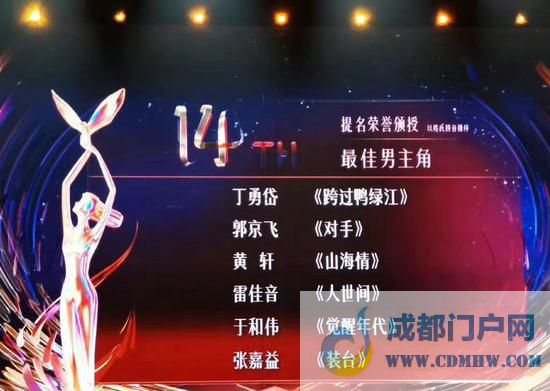 马丽获第31届中国电视金鹰奖最佳女配角奖