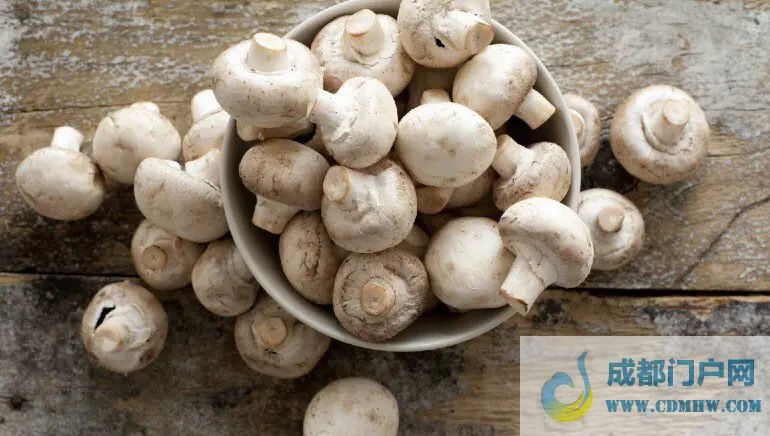 蘑菇是B族维生素的最佳来源，为减肥饮食准备蘑菇沙拉食谱