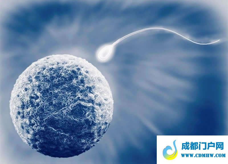 试管婴儿网
