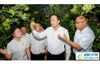 赵波：全力以赴推动重点项目重点产业提速提